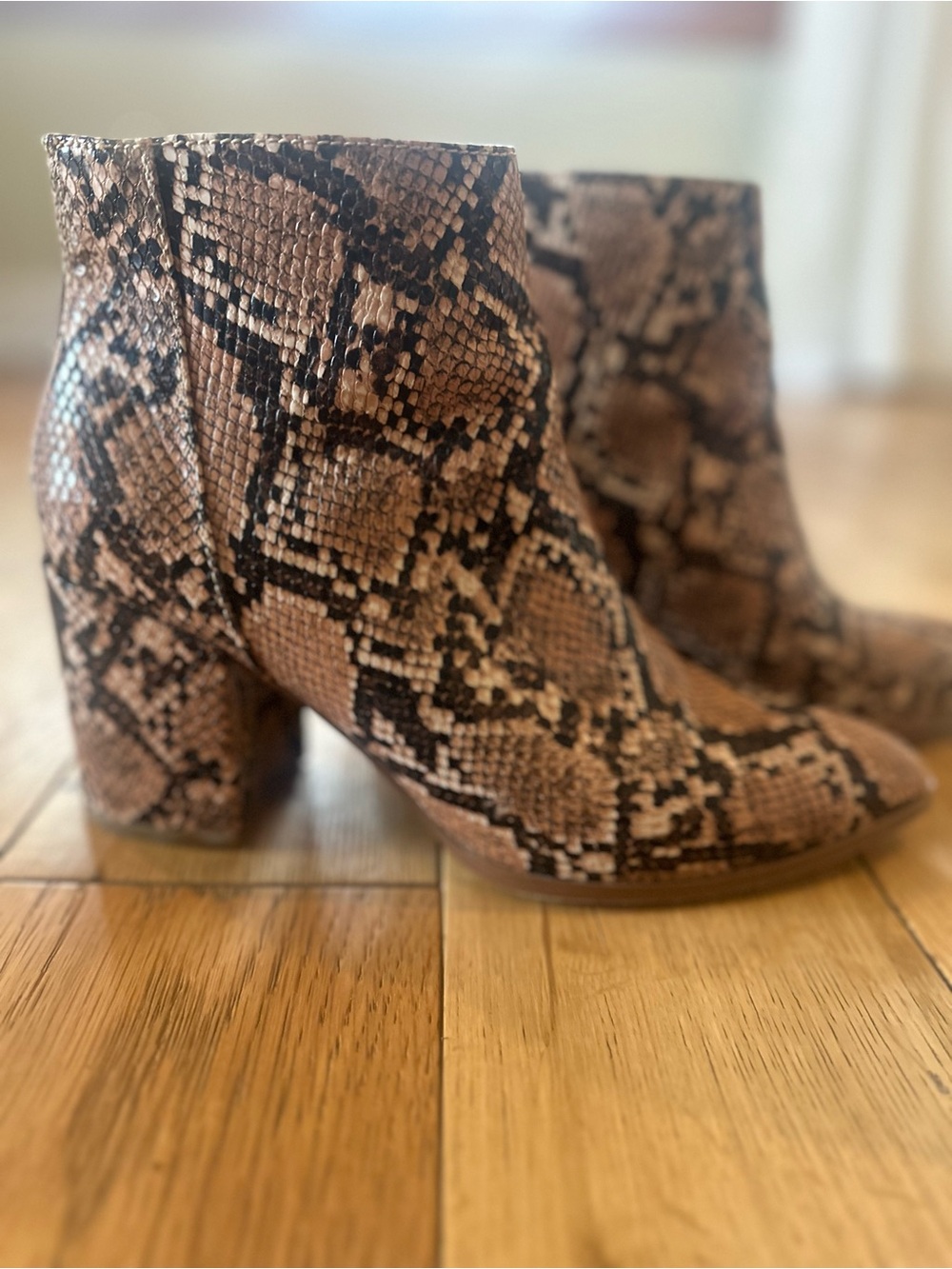 Steve Madden Julianne snakeskin booties